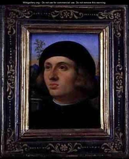 Portrait of a Young Man - Jacopo d