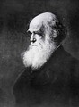 Charles Darwin, print after the painting by W.W. Ouless, illustration from The History of the Nation - Walter William Ouless