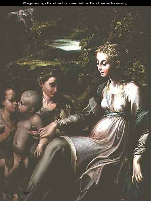 Virgin and Child, with Saints Catherine and John - Girolamo Francesco Maria Mazzola (Parmigianino)