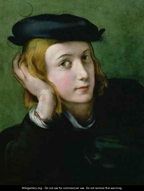 Portrait of a Young Man - Girolamo Francesco Maria Mazzola (Parmigianino)