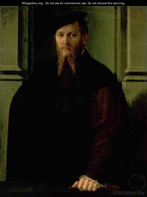 Portrait of a Man 2 - Girolamo Francesco Maria Mazzola (Parmigianino)