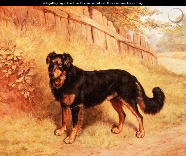 Border Collie, 1894 - Frank Paton