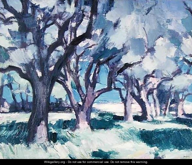 Trees, Antibes, 1928 - Samuel John Peploe