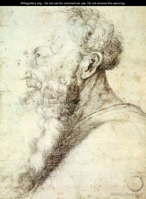 Portrait of Guido Guersi - Matthias Grunewald (Mathis Gothardt)