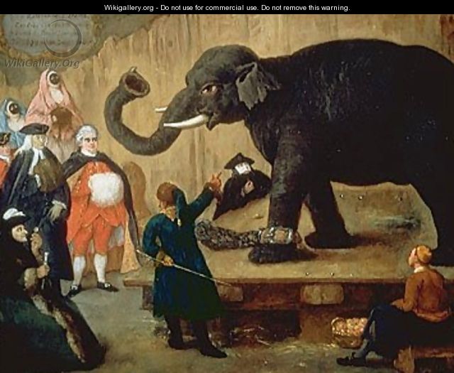 The Display of the Elephant - Pietro Longhi