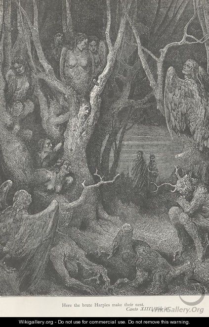 Here the brute Harpies make their nest. (Canto XIII., line 41) - Gustave Dore