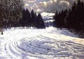 Sleigh Tracks in a Snowy Clearing - Victor Olgyai