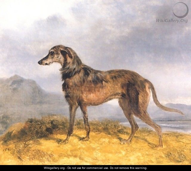 Scottish Deerhound - John Frederick Herring Snr