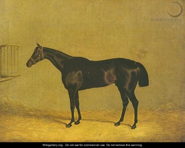 Racehorse Mulatto 1936 - John Frederick Herring Snr