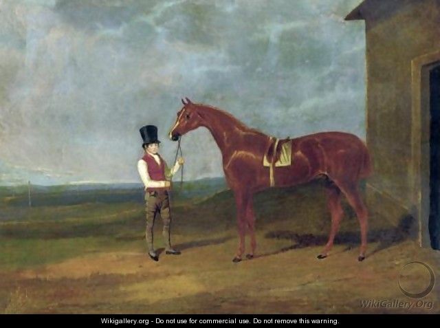 Mountaineer A Chestnut Colt 1826 - John Frederick Herring Snr