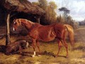Mare And Foal By A Shed - John Frederick Herring Snr