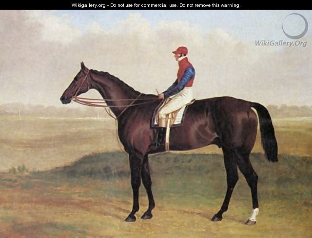 Lord Chesterfields Racehorse Don John - John Frederick Herring Snr