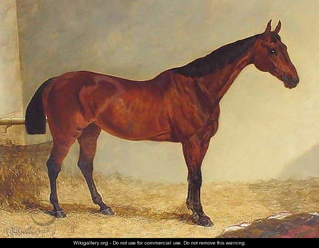 Gypsy, Bay Horse in a Stable - John Frederick Herring Snr