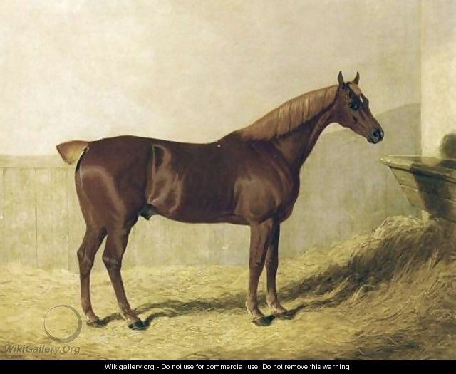 A Chestnut Horse in a Stable - John Frederick Herring Snr