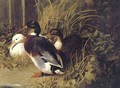 Ducks By A River Bank 1845 - John Frederick Herring Snr