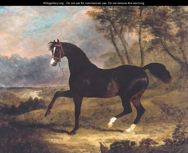 Dark Bay Racehorse in Landscape - John Frederick Herring Snr