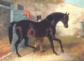 Dark Bay Racehorse by Stable - John Frederick Herring Snr