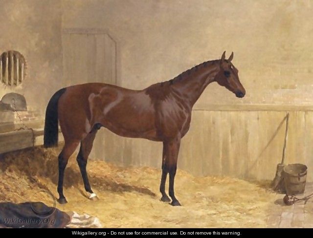 Cotherstone A Racehorse 1843 - John Frederick Herring Snr
