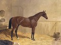Cotherstone A Racehorse 1843 - John Frederick Herring Snr