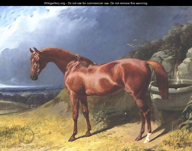 Chestnut A Racehorse - John Frederick Herring Snr