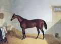 Beeswing A Dark Bay Racehorse 1842 - John Frederick Herring Snr