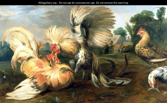 The cockfight - Frans Snyders
