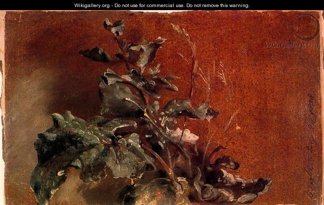 Study of plants - John Constable
