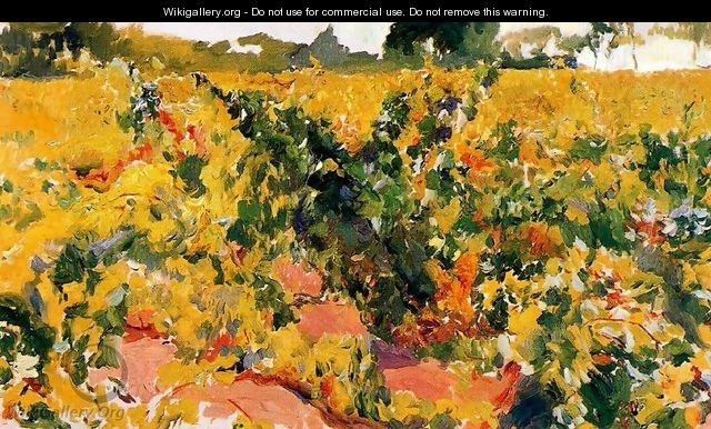 Vineyards study - Joaquin Sorolla y Bastida