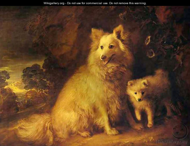 Pomeranian Bitch and Puppy - Thomas Gainsborough