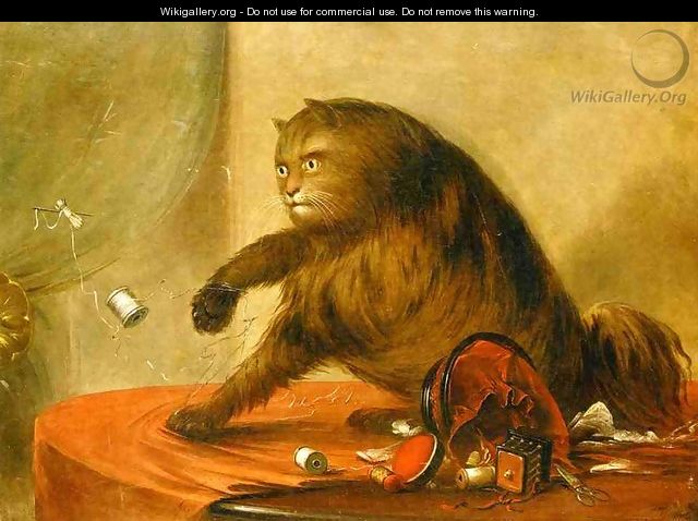 The cat of ostend - George Catlin