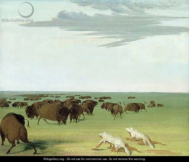 Buffalo Hunt under the Wolf-skin Mask - George Catlin