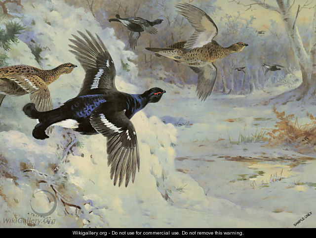 Through the Snowy Coverts - Archibald Thorburn