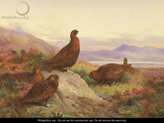 The Morning Call - Archibald Thorburn