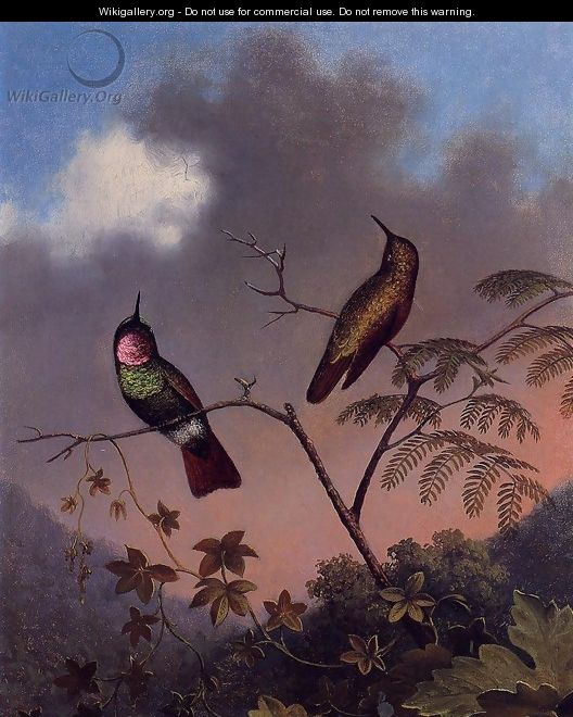 Brazilian Ruby Hummingbirds - Martin Johnson Heade