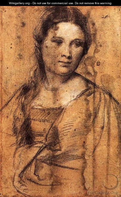 Portrait of a Young Woman (draw) - Tiziano Vecellio (Titian)
