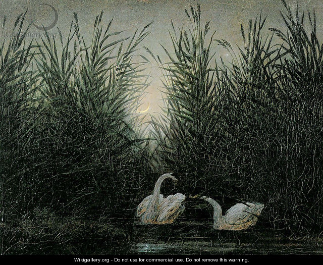 Swans in the reed with first morning-red - Caspar David Friedrich