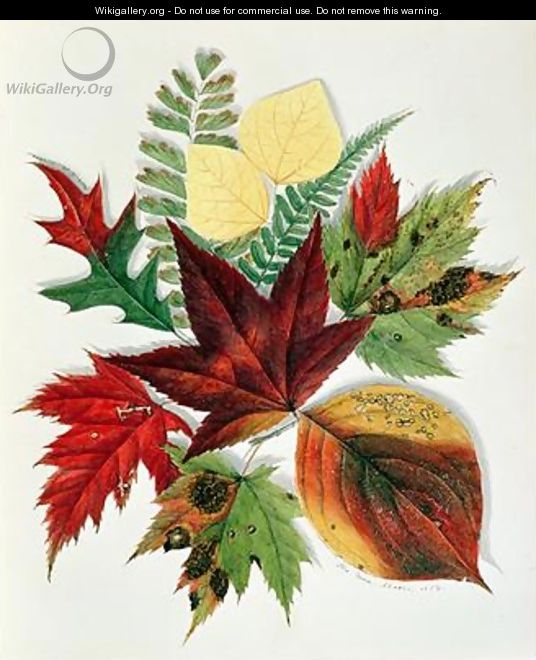 Autumn Leaves 1858 - Nina Moore