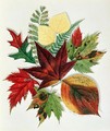 Autumn Leaves 1858 - Nina Moore