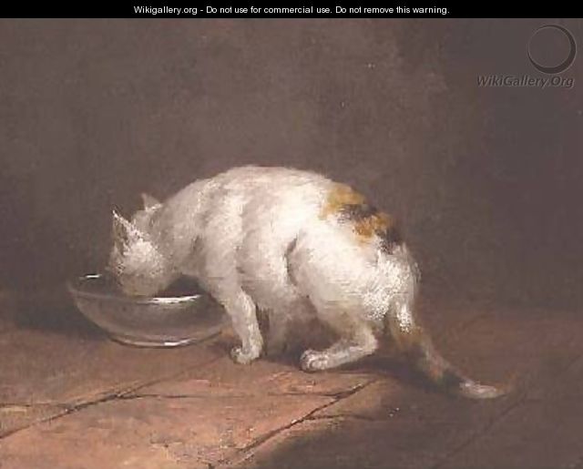 The Artists Cat Drinking - George Morland