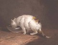 The Artists Cat Drinking - George Morland