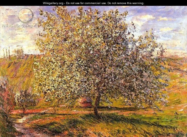 Tree in Flower near Vetheuil - Claude Oscar Monet