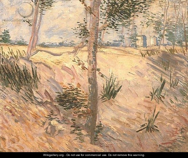 Arbre dans un champ 1887 - Vincent Van Gogh