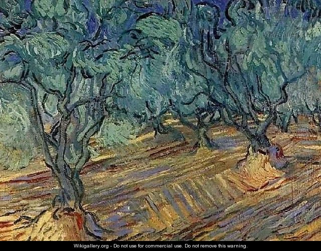 Olive Grove 2 - Vincent Van Gogh