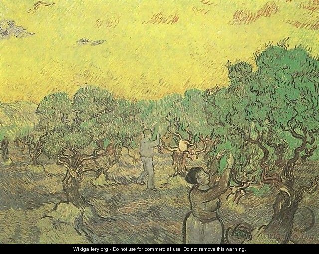 La récolte des olives 1889 - Vincent Van Gogh