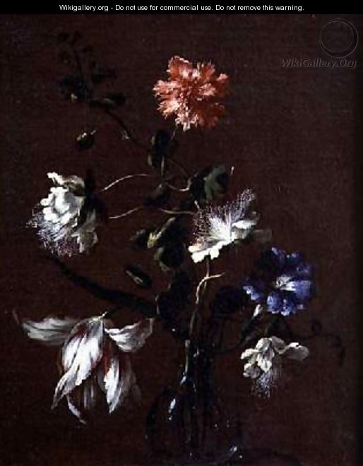 Still life of Caper Flowers Carnations Bindweed and Tulips - Gasparo Lopez