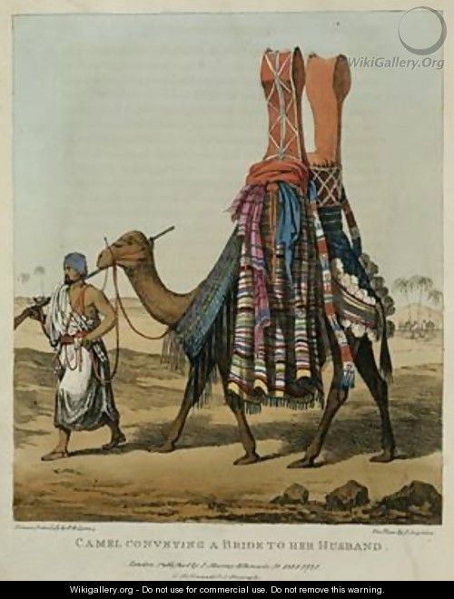 Camel Conveying a Bride to her Husband - Captain George Francis Lyon