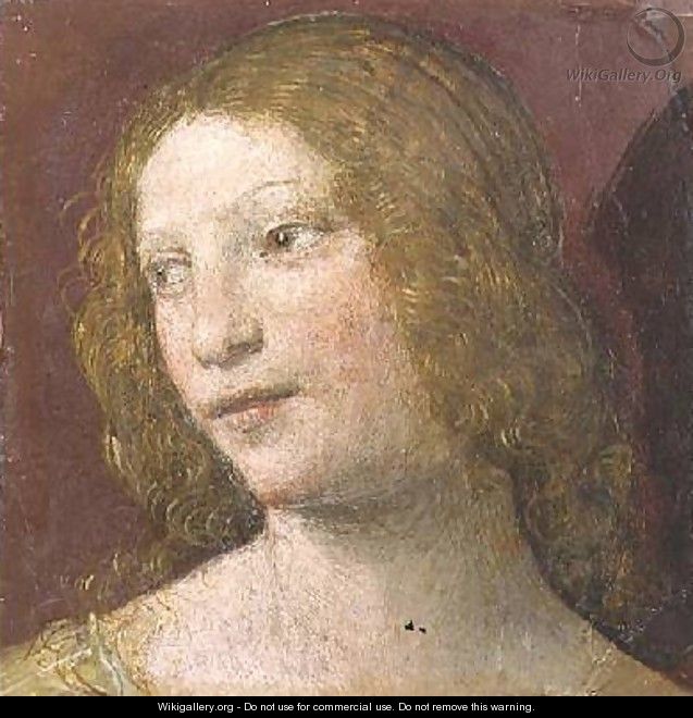 Head of a Young Woman - Bernardino Luini