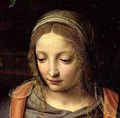 The Virgin and Child in a Landscape 2 - Bernardino Luini