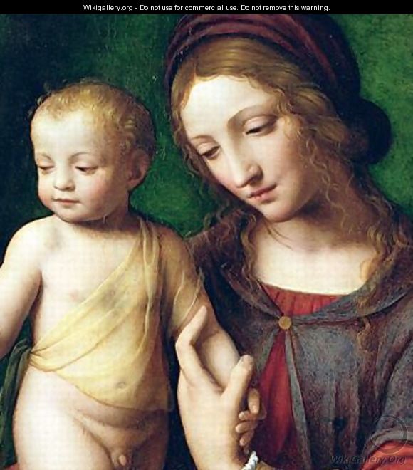 The Virgin and Child with a Columbine 2 - Bernardino Luini