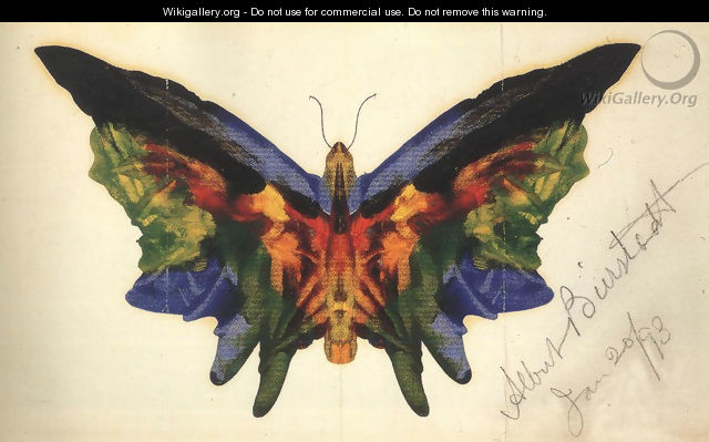 Butterfly 1893 - Albert Bierstadt